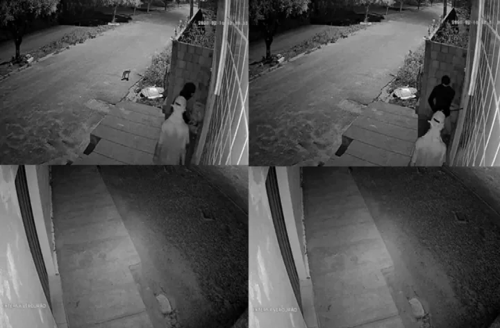 Homens tentam arrombar verdurão na Avenida Duque de Caxias em Oeiras