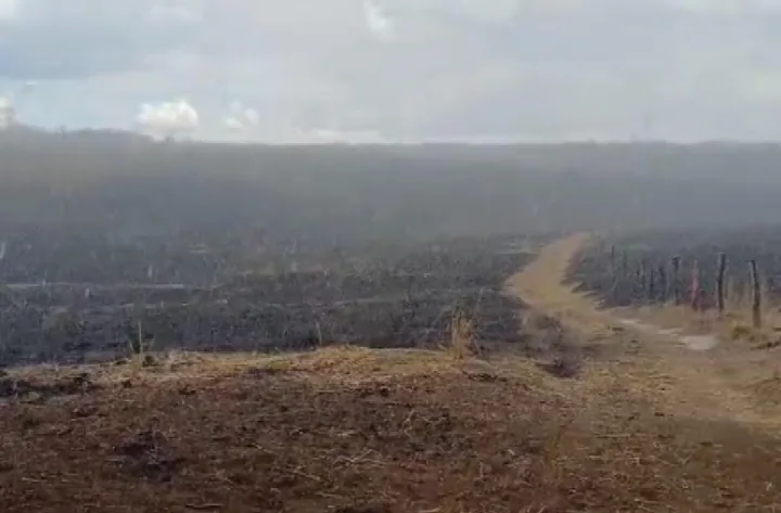 Chuva ajuda a combater queimadas no Sul do PI; autor do incêndio é identificado