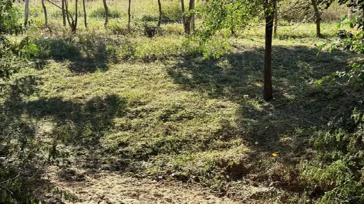 Prefeitura de Oeiras realiza ações ambientais na unidade de conservação do Riacho Mocha