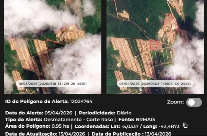 Piauí reduz desmatamento em 66,5% no Cerrado e vira referência para o Brasil em monitoramento ambiental