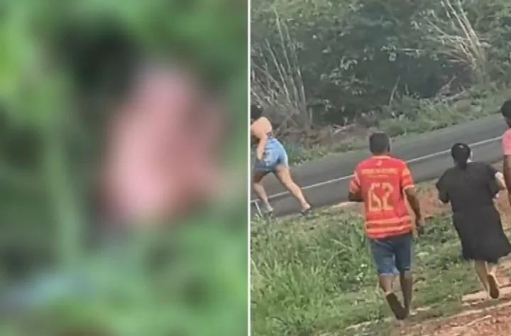 Recém-nascida é encontrada em matagal em Dom Expedito Lopes; estado de saúde é gravíssimo