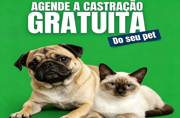 Centro de Controle de Zoonoses abre cadastro para castração gratuita de cães e gatos de pequeno porte em Oeiras