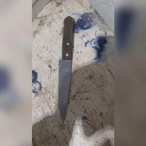 Adolescente de 14 anos ameaça família com faca em Wall Ferraz e é conduzida a delegacia de Oeiras