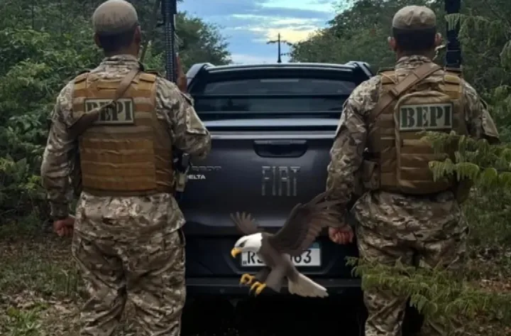 Polícia recupera Fiat Strada após roubo em São João da Varjota