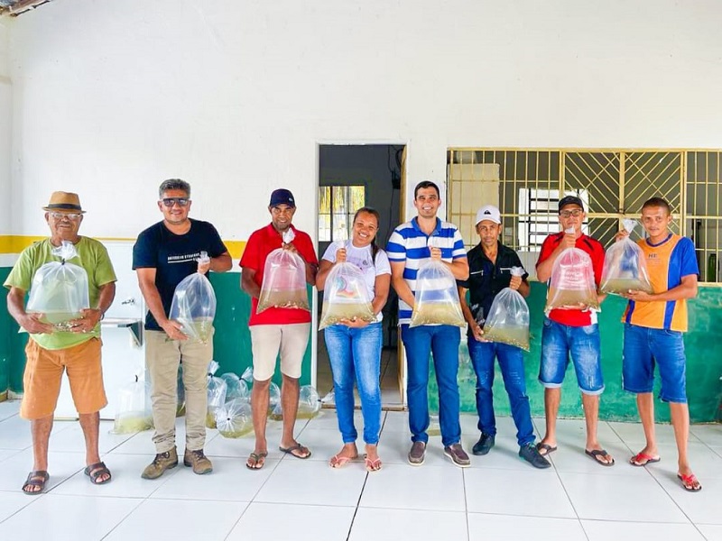 Prefeitura de Colônia do Piauí fortalece piscicultura local com distribuição de alevinos — imagem 1