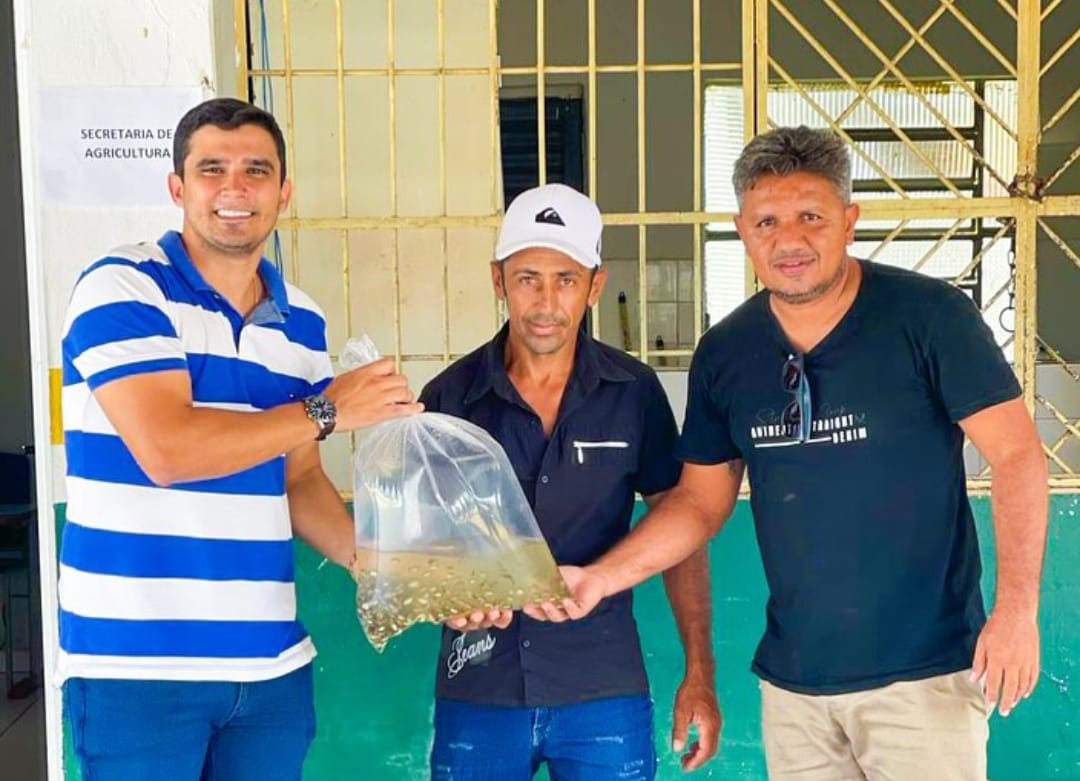 Prefeitura de Colônia do Piauí fortalece piscicultura local com distribuição de alevinos — imagem 2