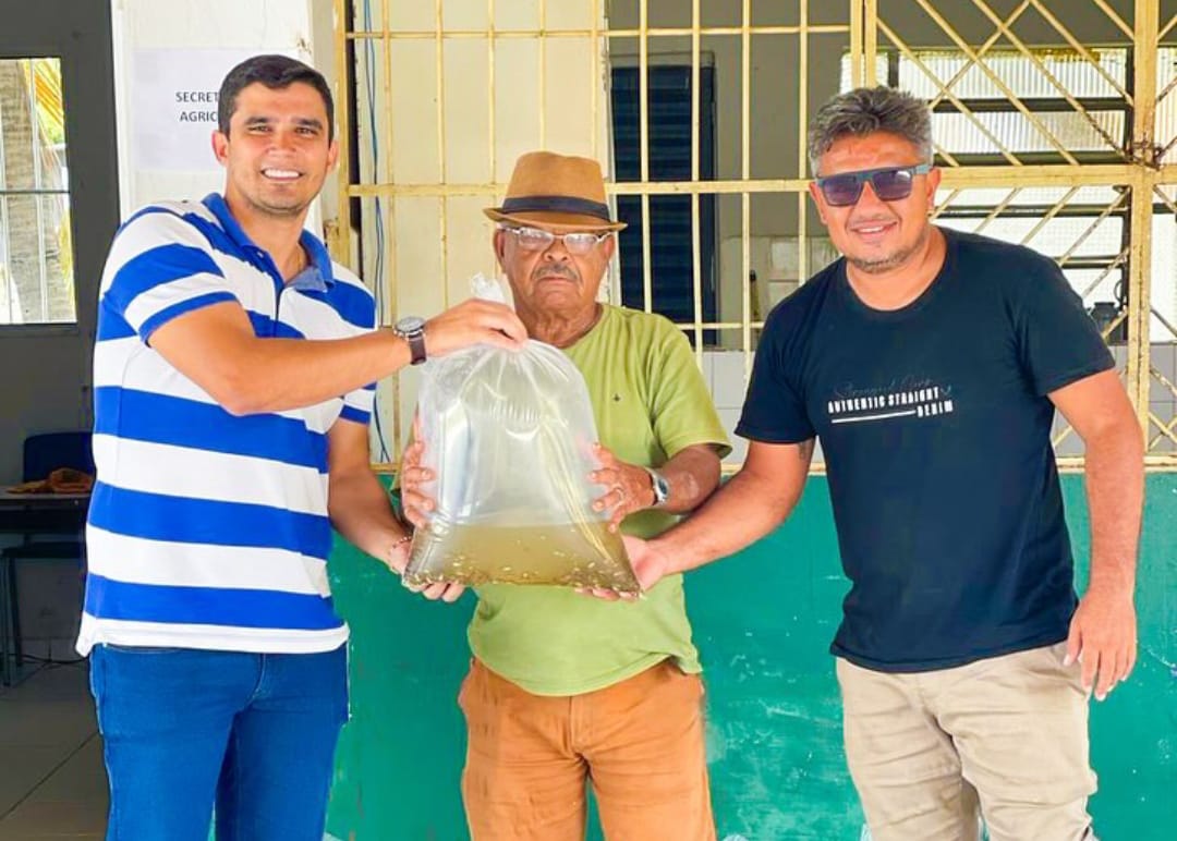 Prefeitura de Colônia do Piauí fortalece piscicultura local com distribuição de alevinos — imagem 3