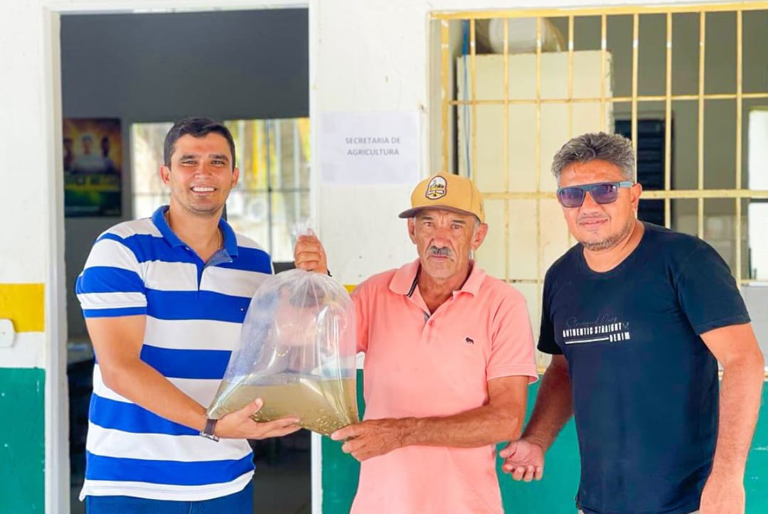 Prefeitura de Colônia do Piauí fortalece piscicultura local com distribuição de alevinos — imagem 4