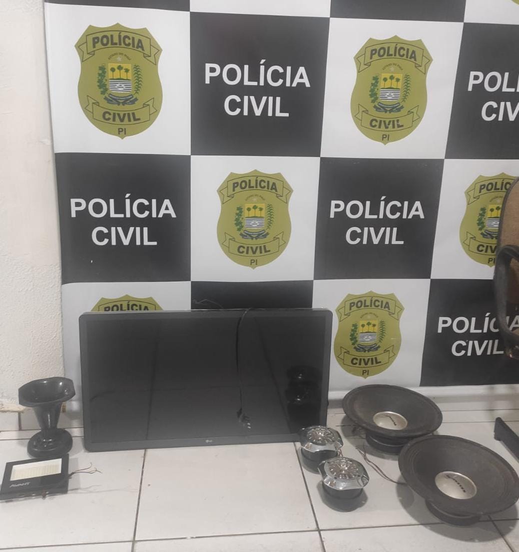 Polícia Civil prende suspeito de furto e apreende objetos em Oeiras — imagem 2
